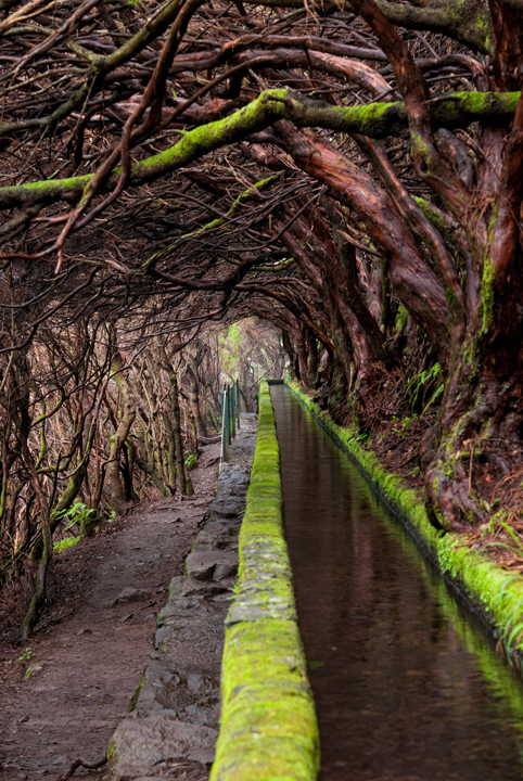 421_Madera_Levada das 25 Fontes.jpg